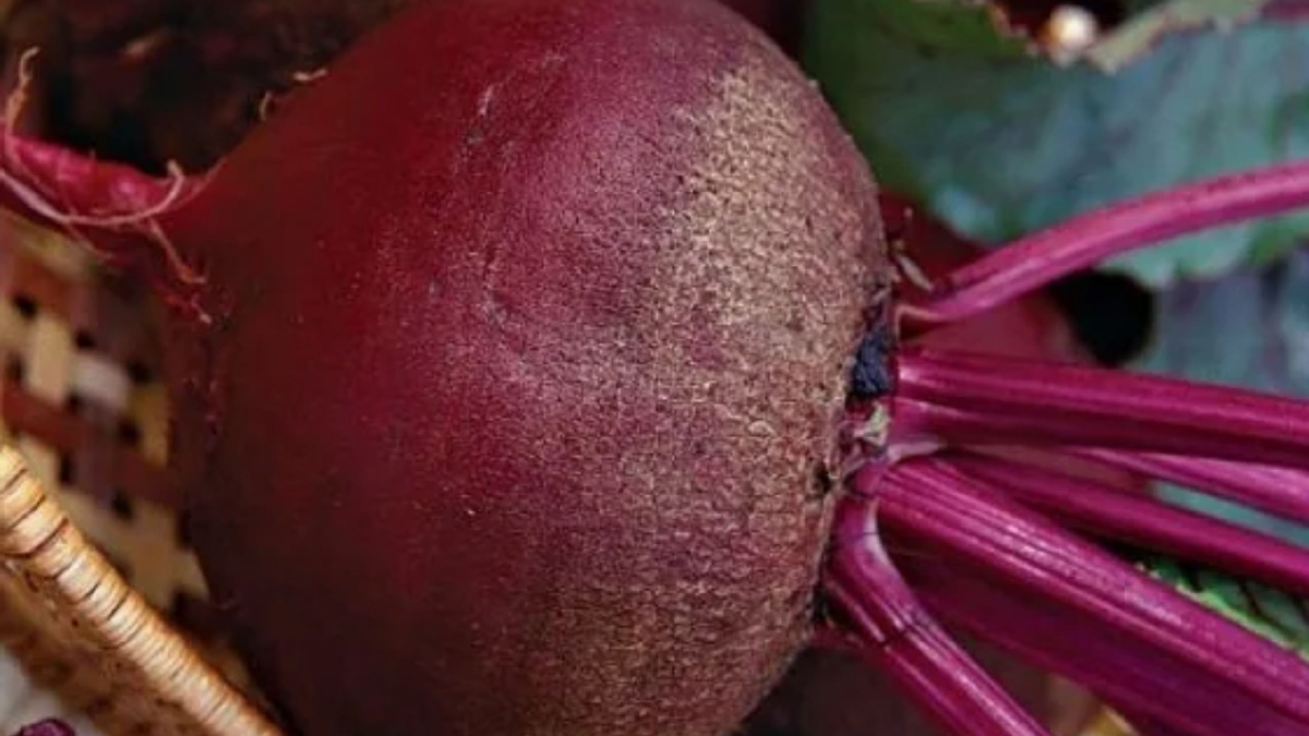 Яндекс картинки