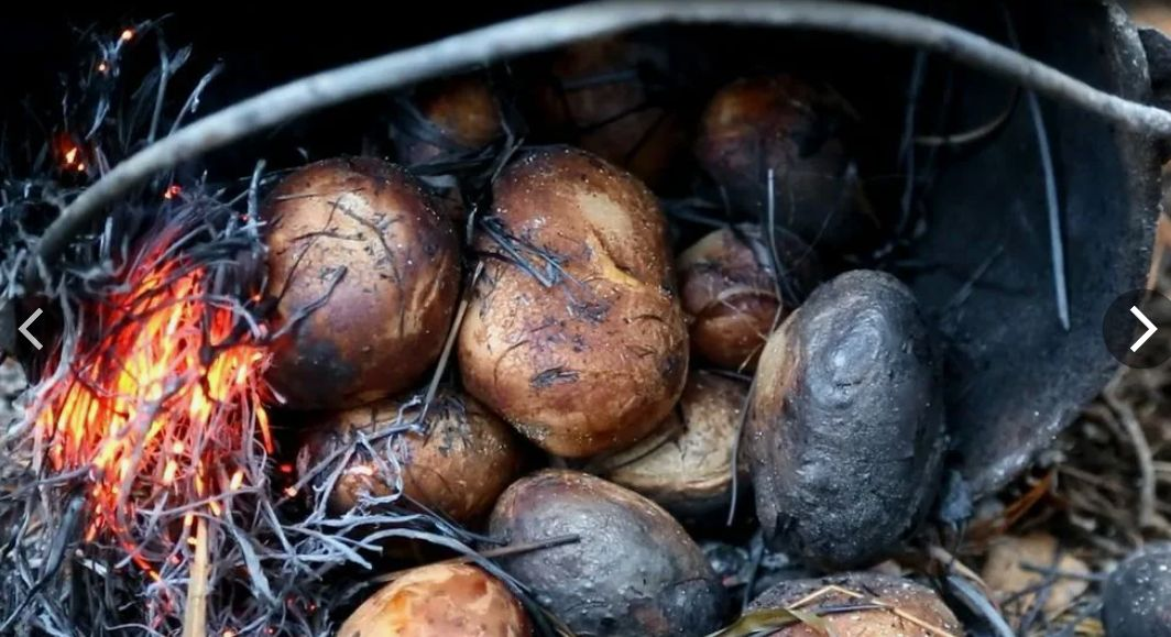 Яндекс картинки