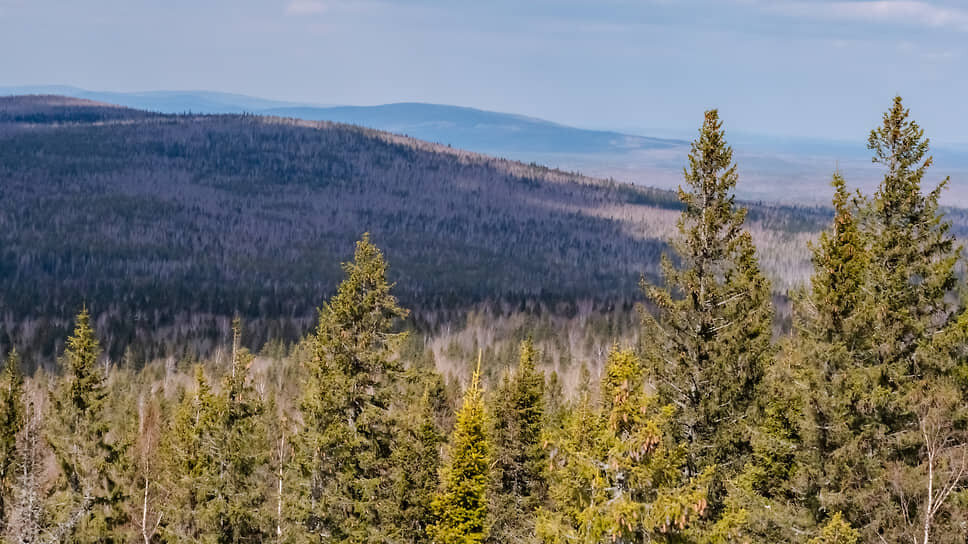Фото: Евгения Яблонская / Коммерсантъ