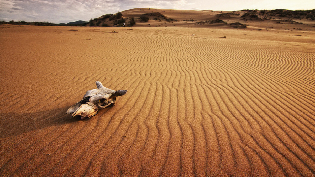 Пустынная угроза. Фото: Анатолий Салтыков, участник конкурса РГО «Самая красивая страна»