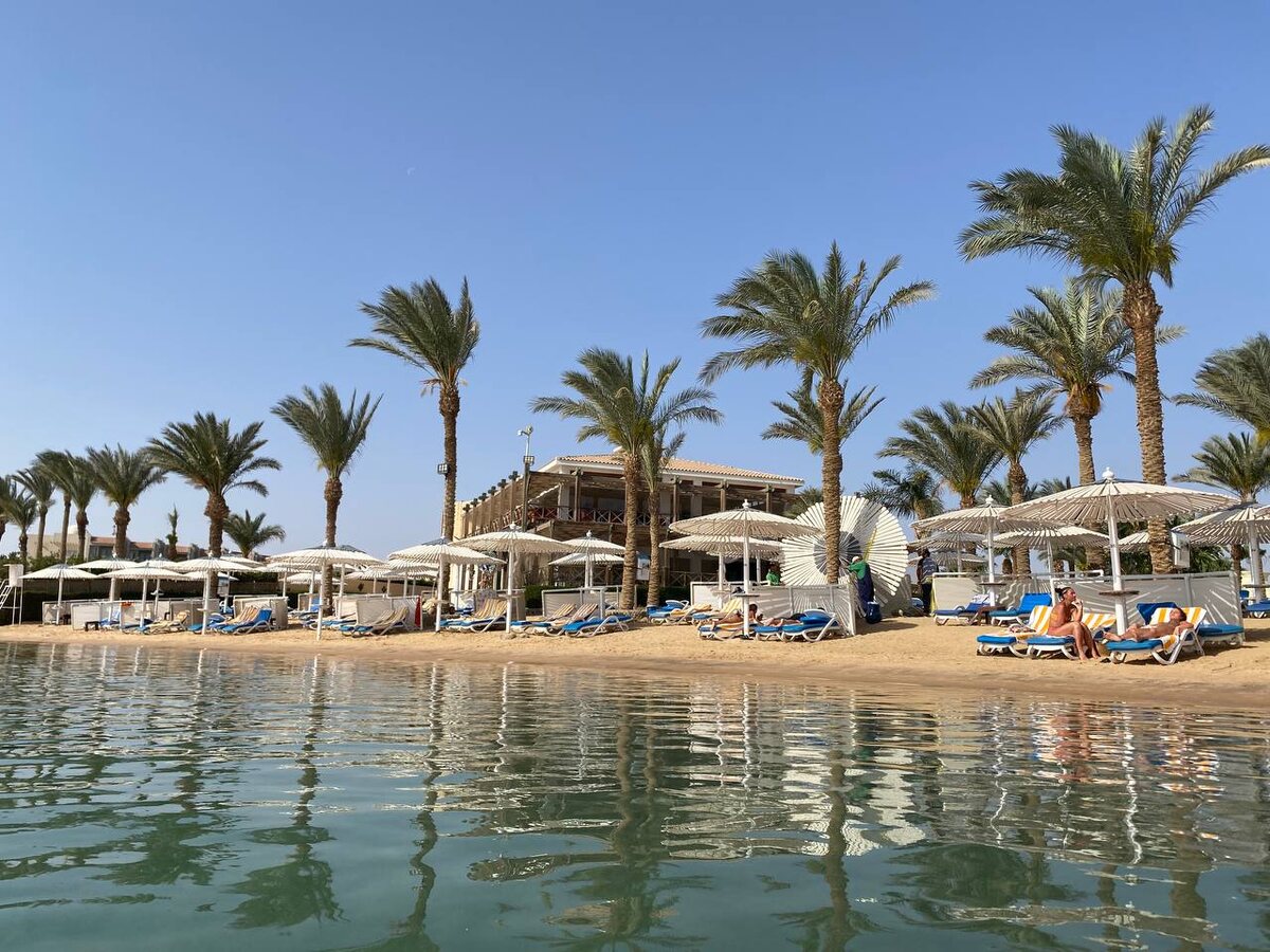 Самолеты будут вылетать из Хабаровска каждую среду и субботу, перелет займет 8 часов.  Фото: Фото: ФедералПресс / Анастасия Алимпиева