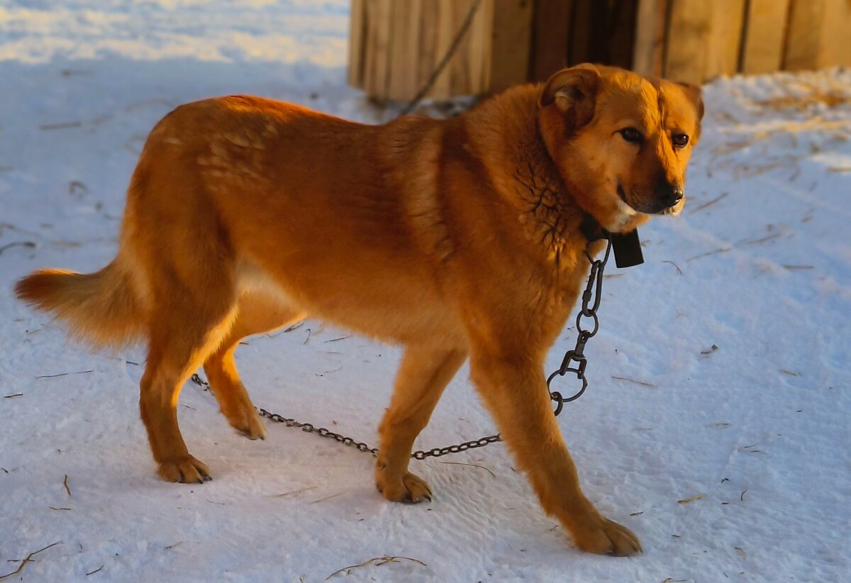 Бесспорно - красавица 💖