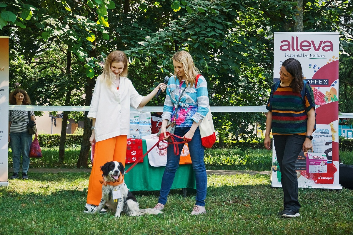Поздравляем очаровательного Грея и его новую хозяйку Анастасию с началом большой дружбы.