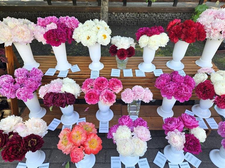    Фото: Администрация г. Красноярска