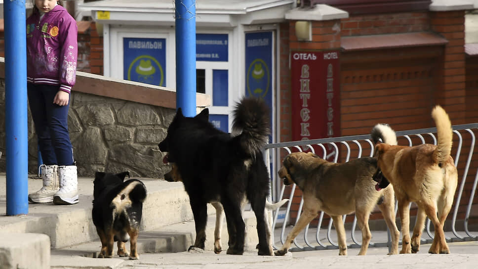 Фото: Виктор Коротаев / Коммерсантъ