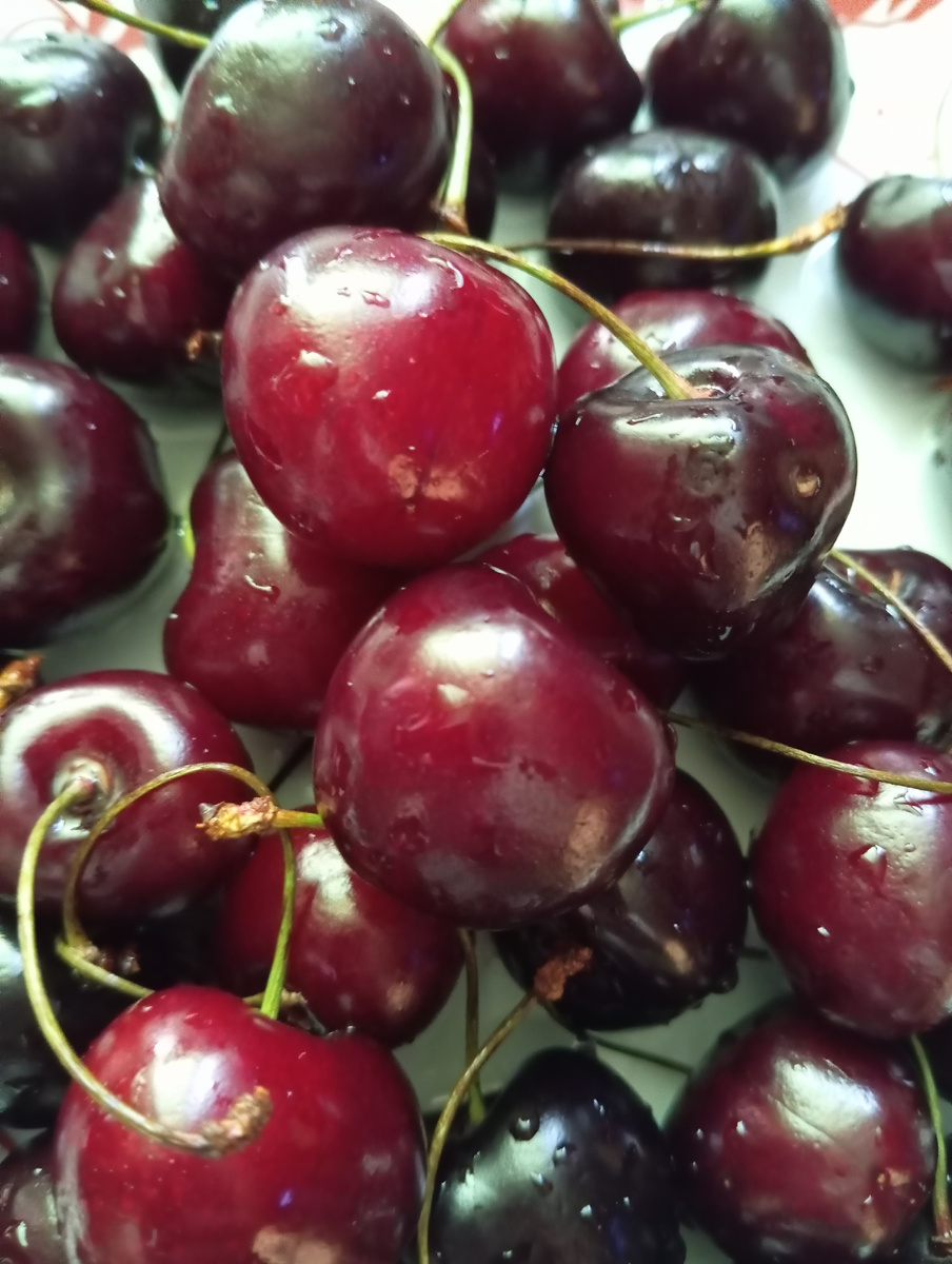 Всё лето мы с ней не расстаемся. 