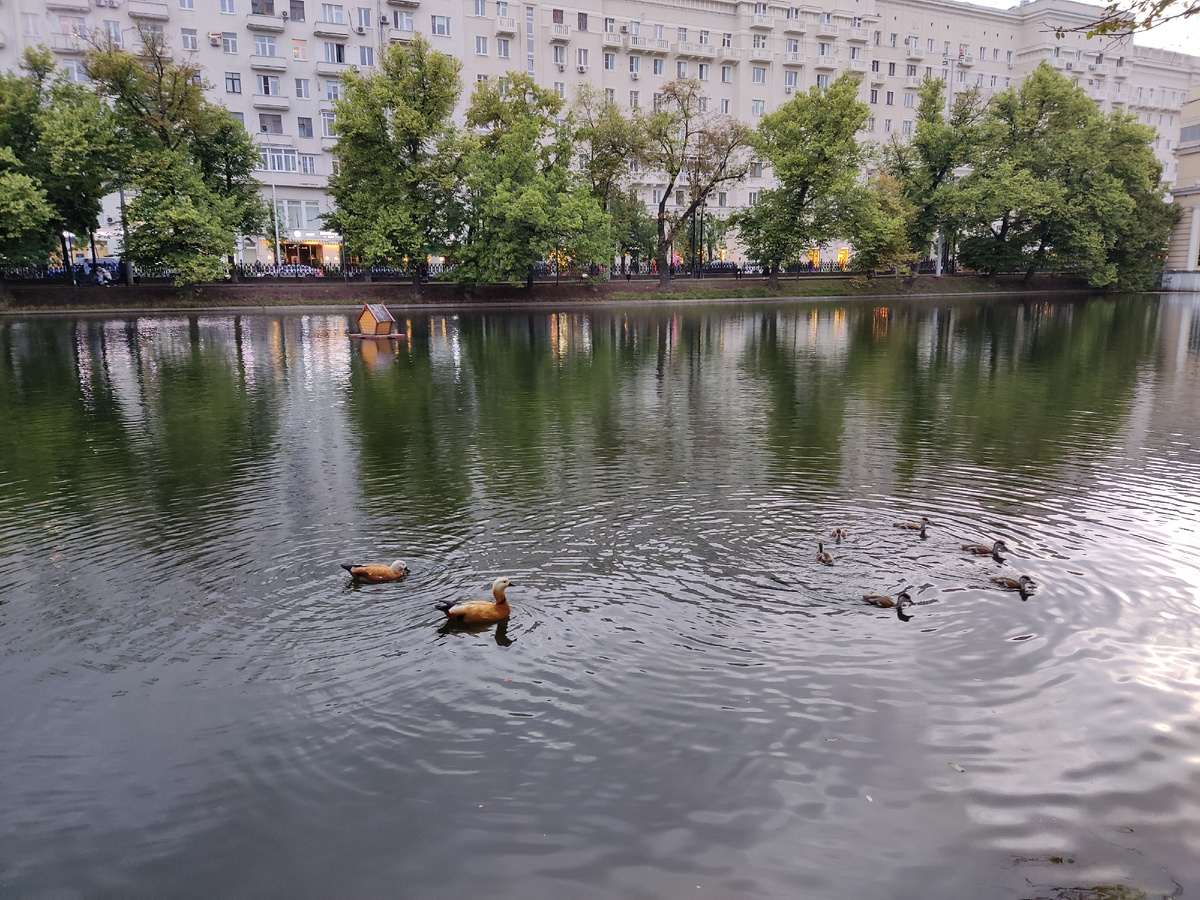 Чистые пруды. Фото автора