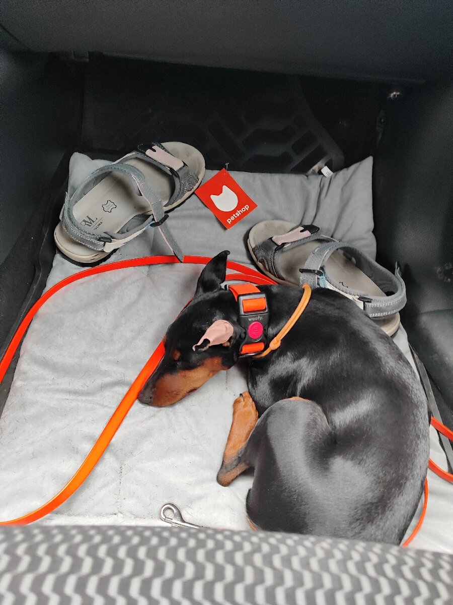 Так она отдыхала в поездке на лежанке. 