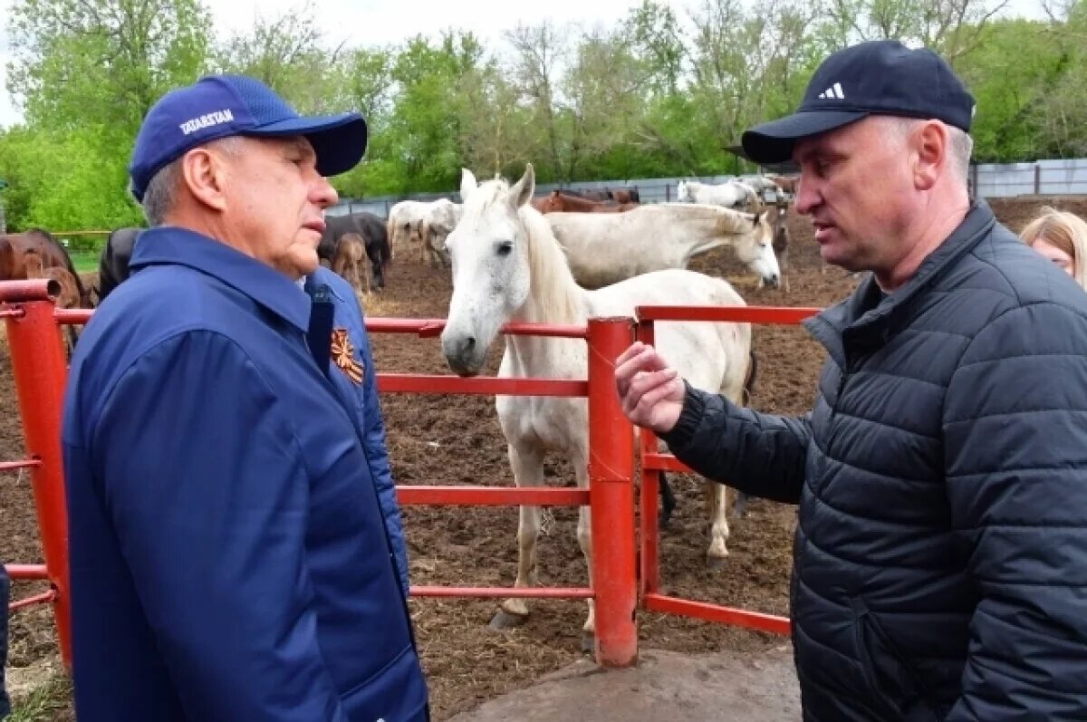    Под Волгоградом лошадь из музея побила копытами элитный внедорожник