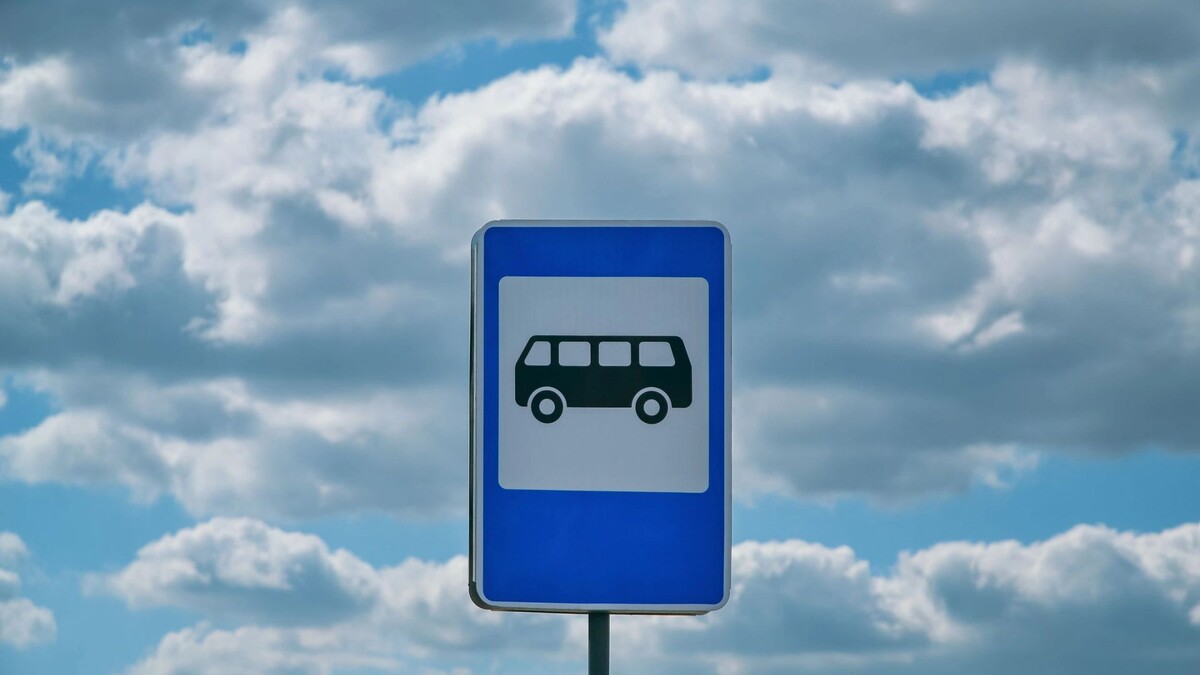    Фото: ProjectXen/Shutterstock/Fotodom