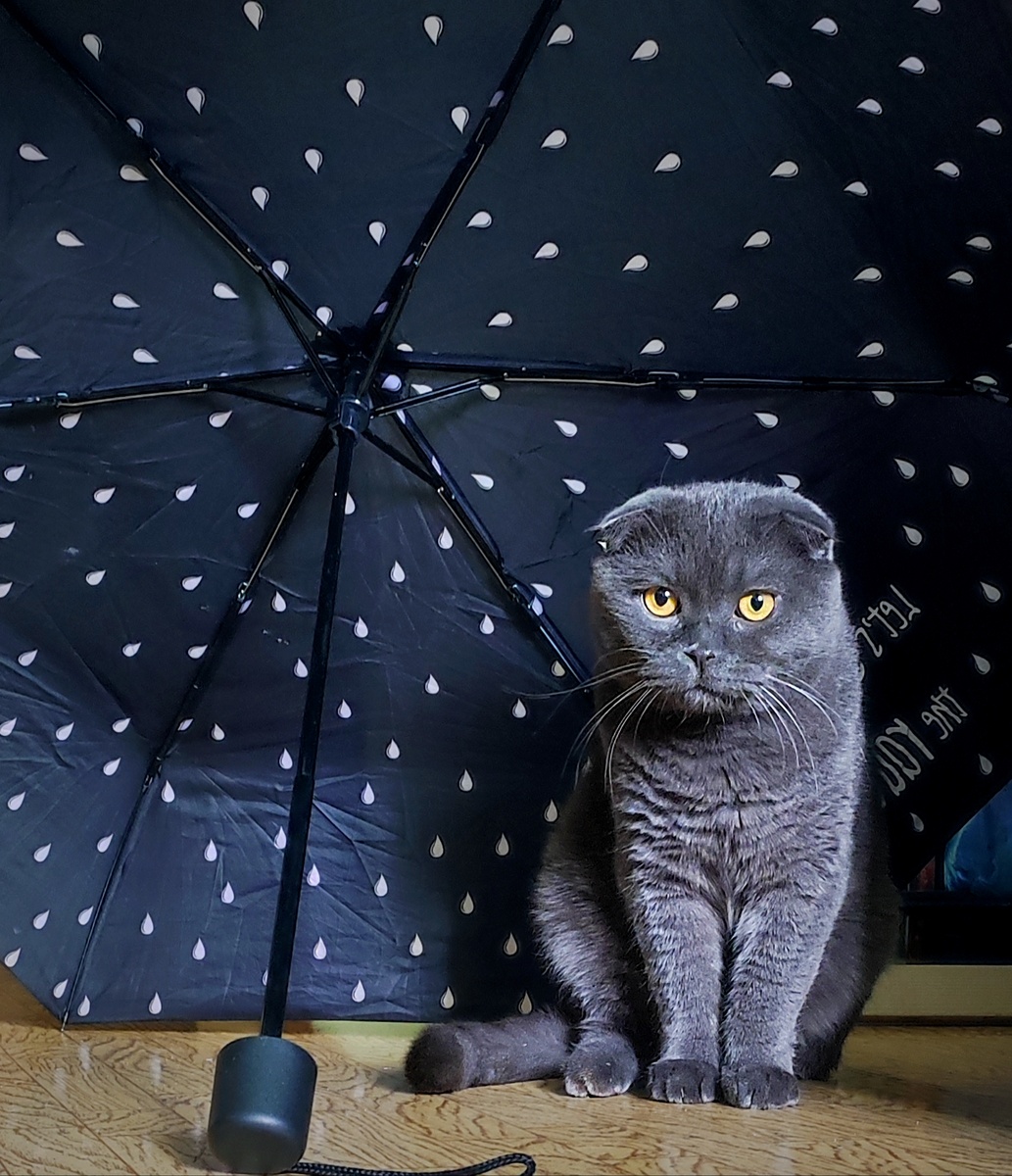 Это я, такой важный. 