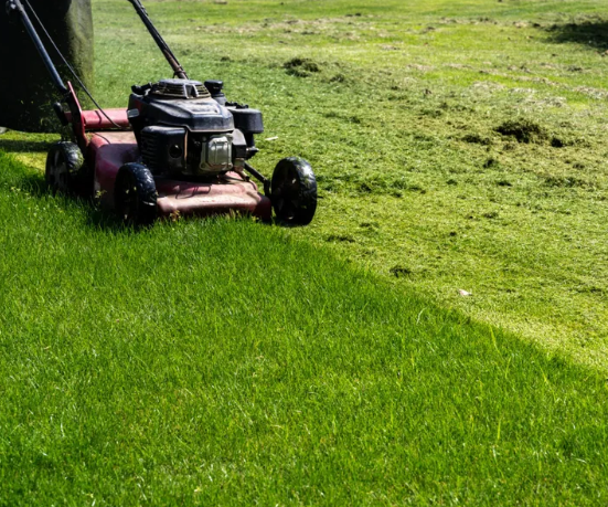 Уход за газоном летом