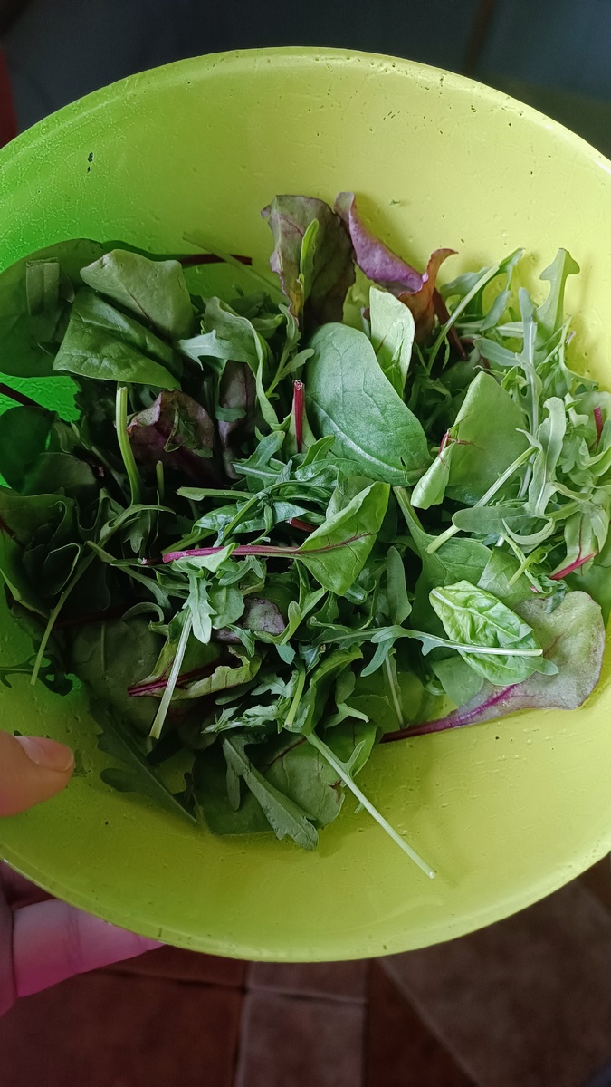 Заготовка салата