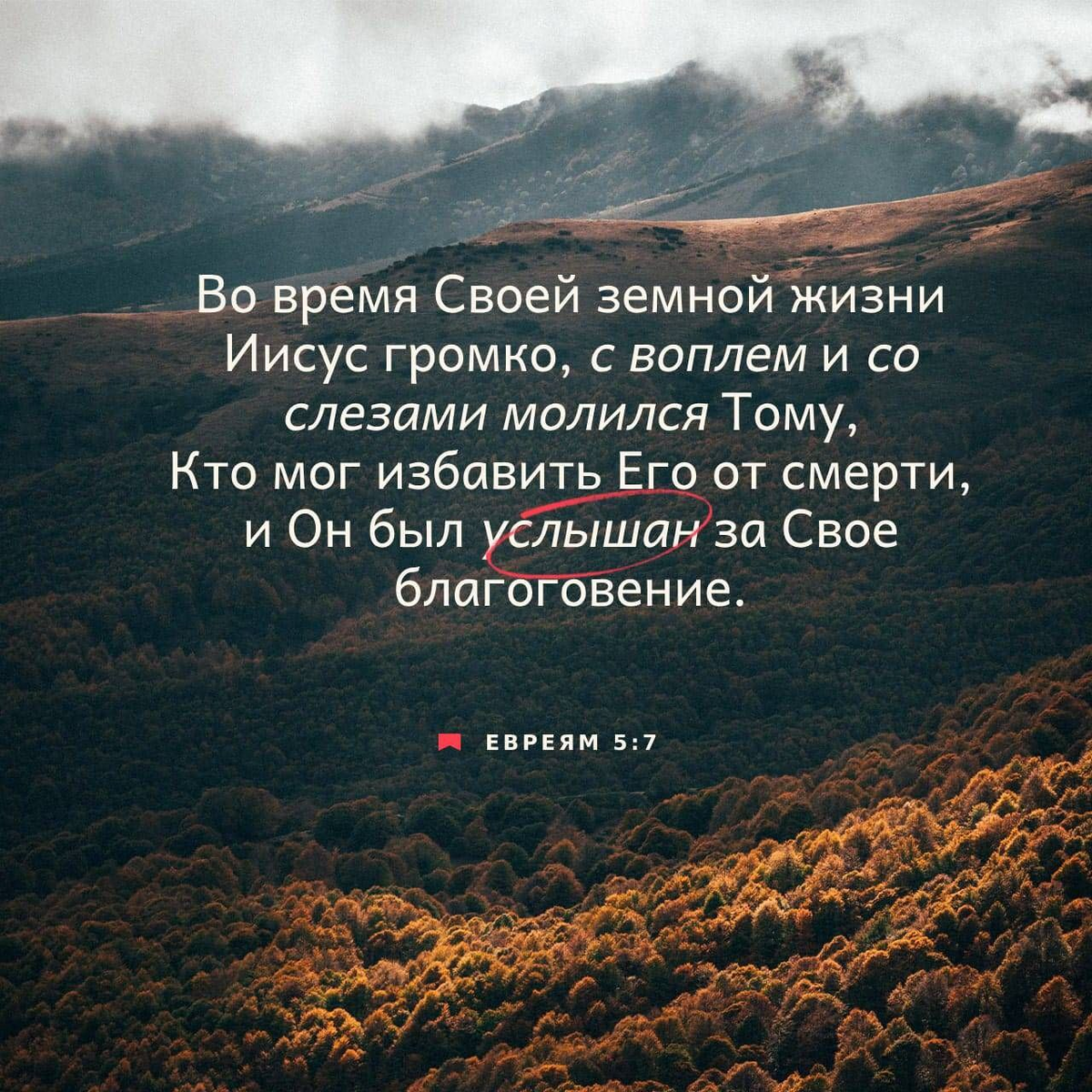 Евреям 5:7 НРП