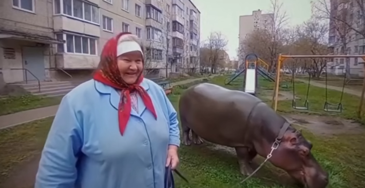 Скриншот видео