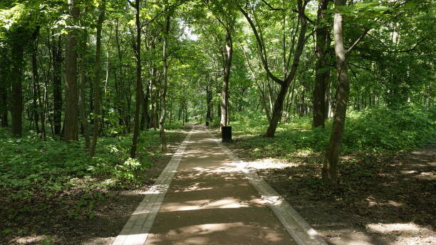 На моей памяти основной массив дорожек парка примерно такой (или память обманула?). Равно как и атмосфера…