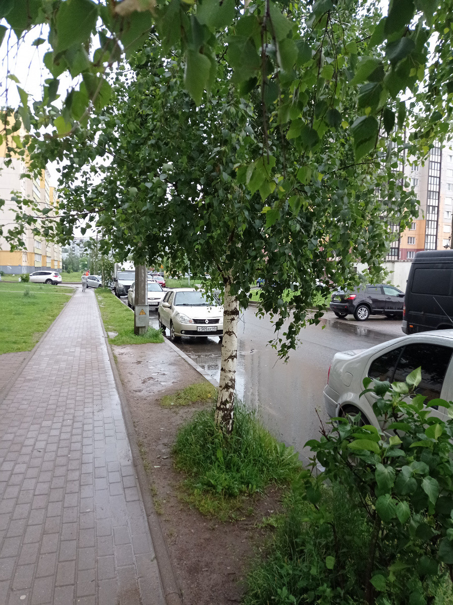 Пешеходная дорожка почти без луж. 