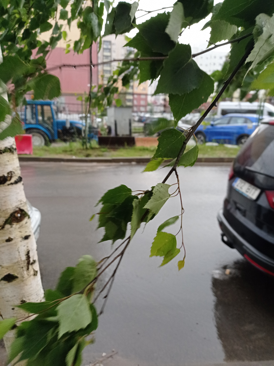 Асфальт - зеркало. 