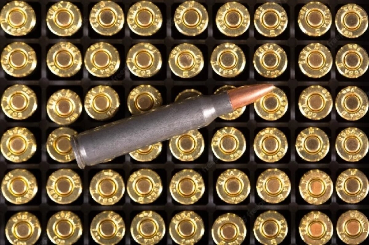    Житель Коми забыл о тайнике с патронами после встречи с медведем