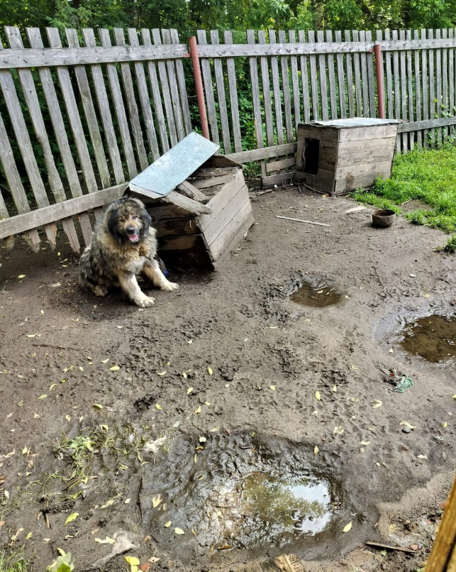 скриншот автора