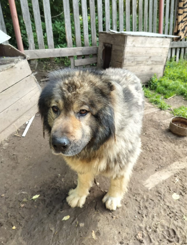 скриншот автора