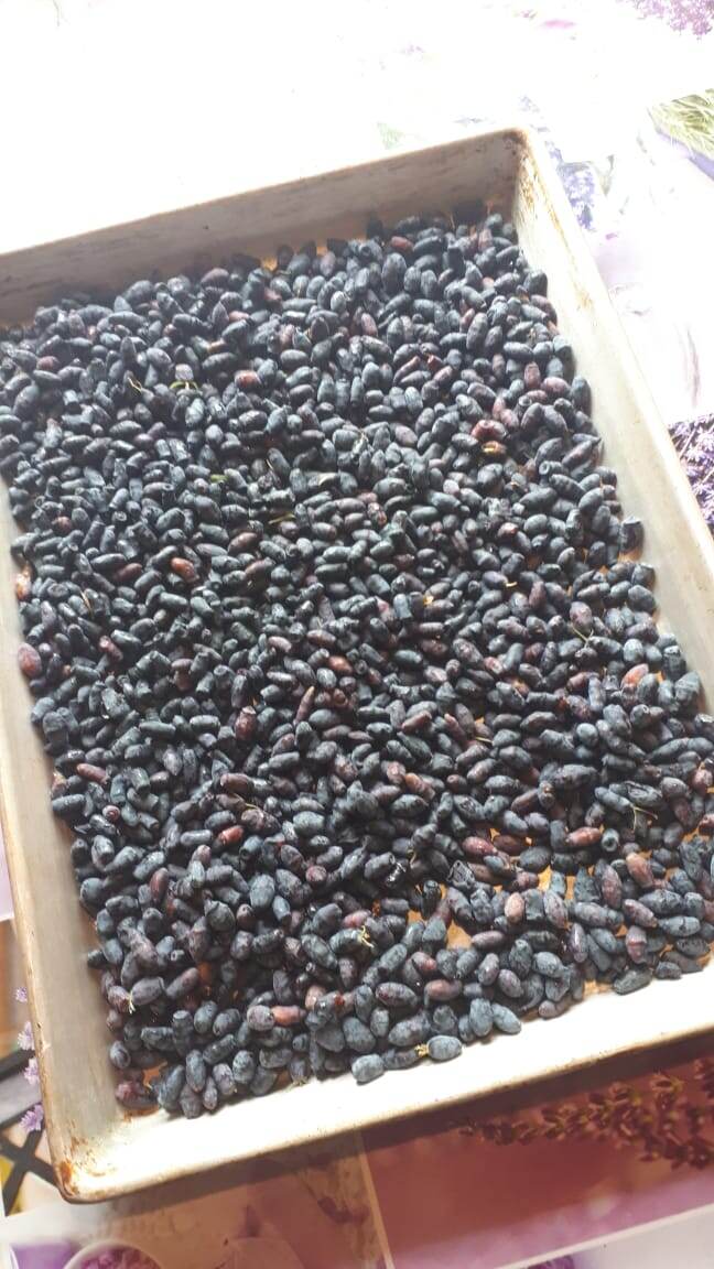 Мамин урожай