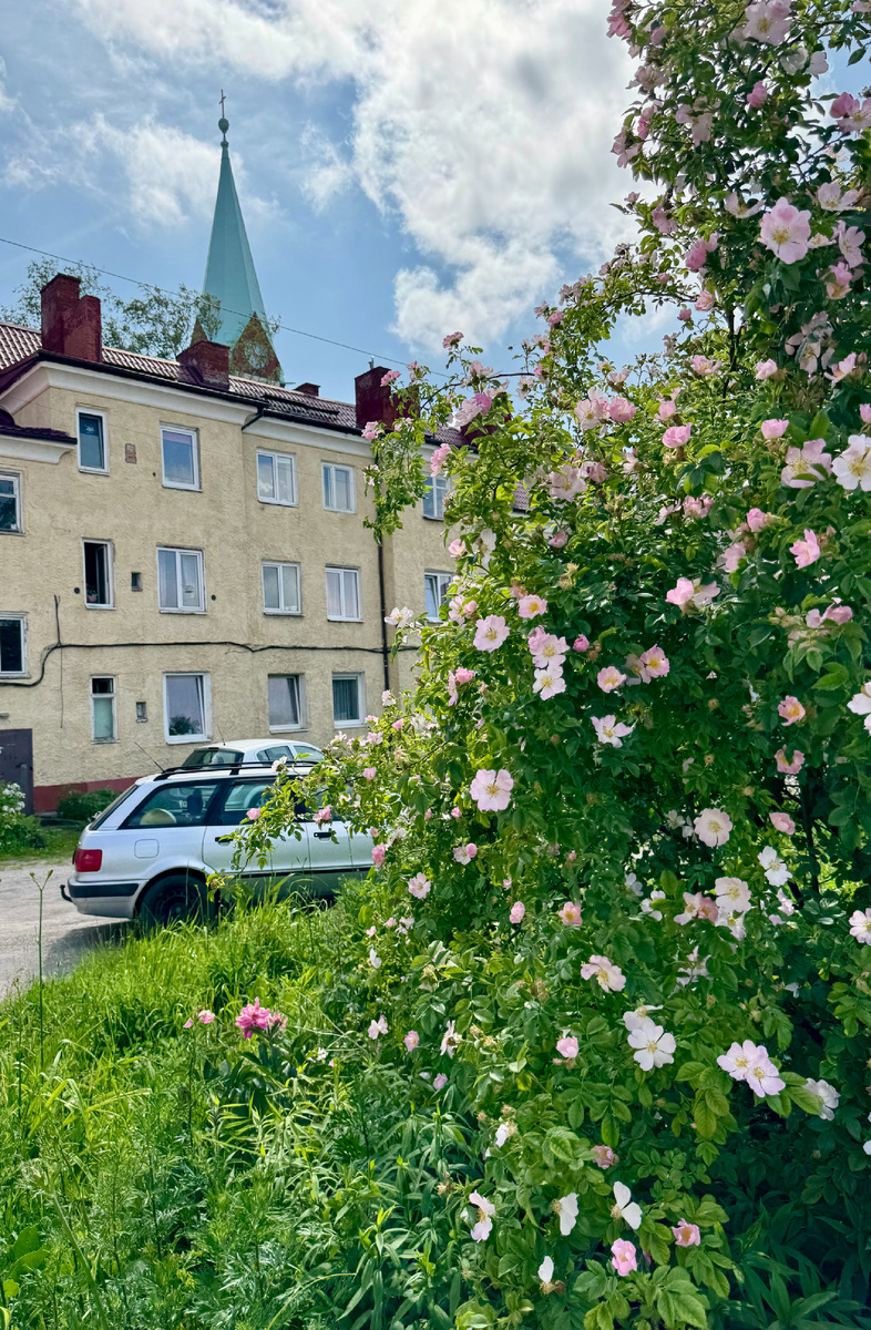 Дворик Розенау