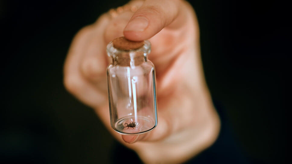 Фото: Мария Бакланова / Коммерсантъ