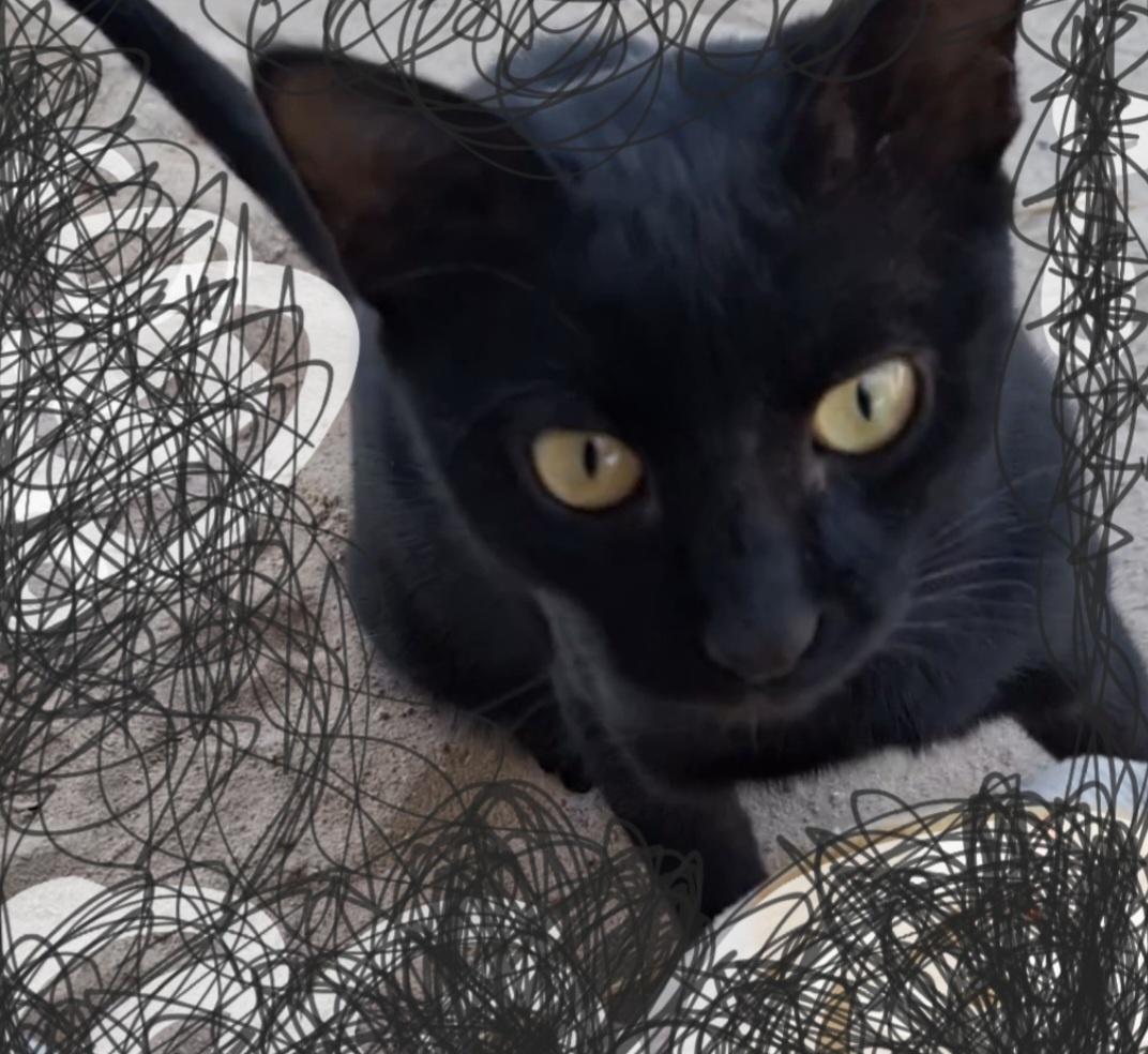 Фотоколлаж - собственность автора канала.