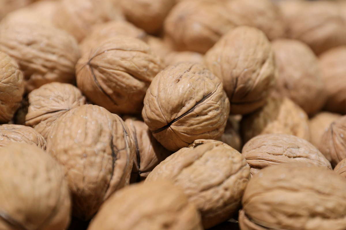     Фото: globallookpress.com