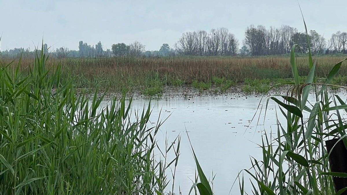    Фото: «Телеканал Краснодар»