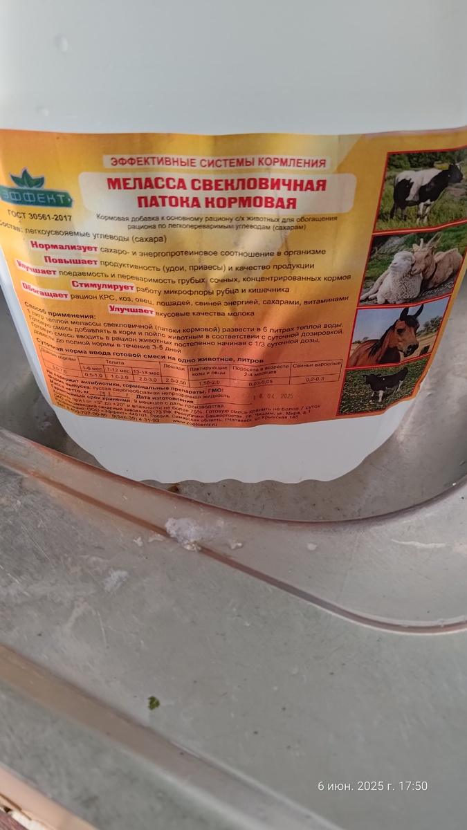 Если животным нравится, то почему бы и самому не попробовать 🤔.