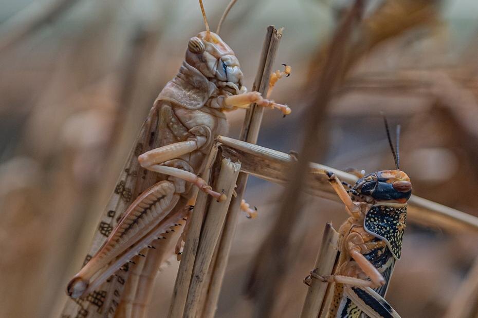    Cover Images/Keystone Press Agency/Global Look Press