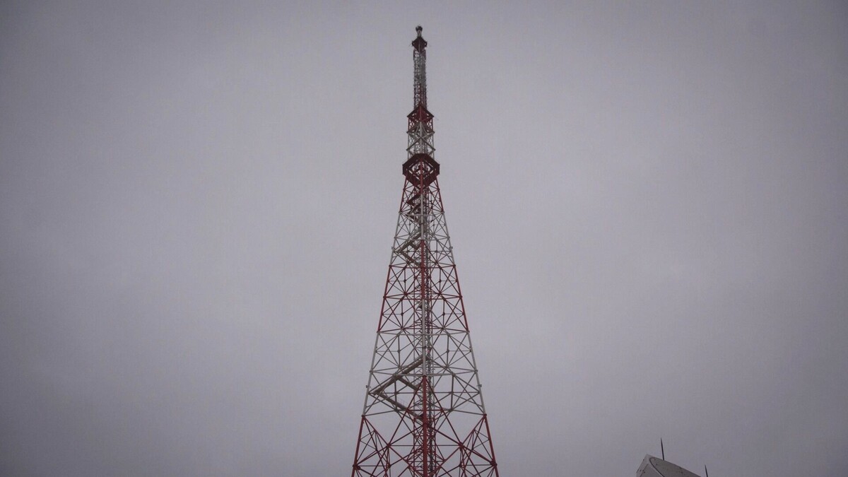     Источник: novostivolgograda.ru