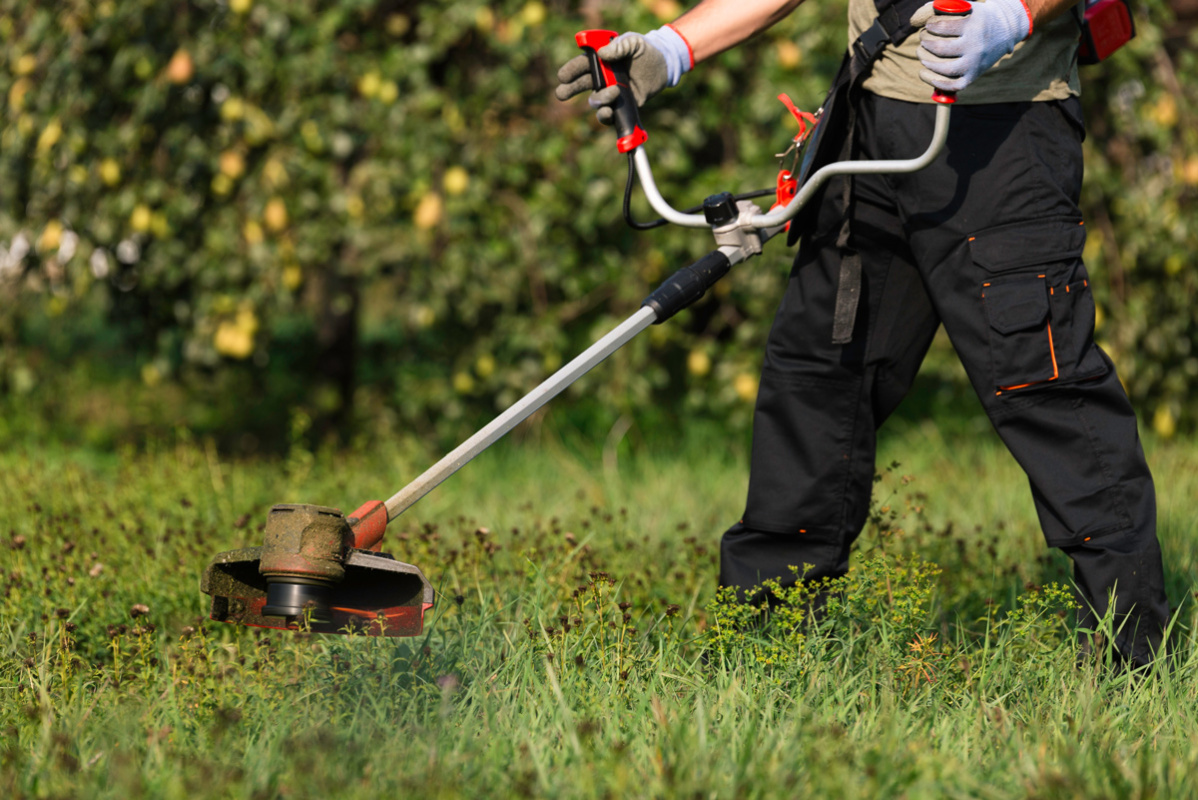    Фото: zoff / Shutterstock.com