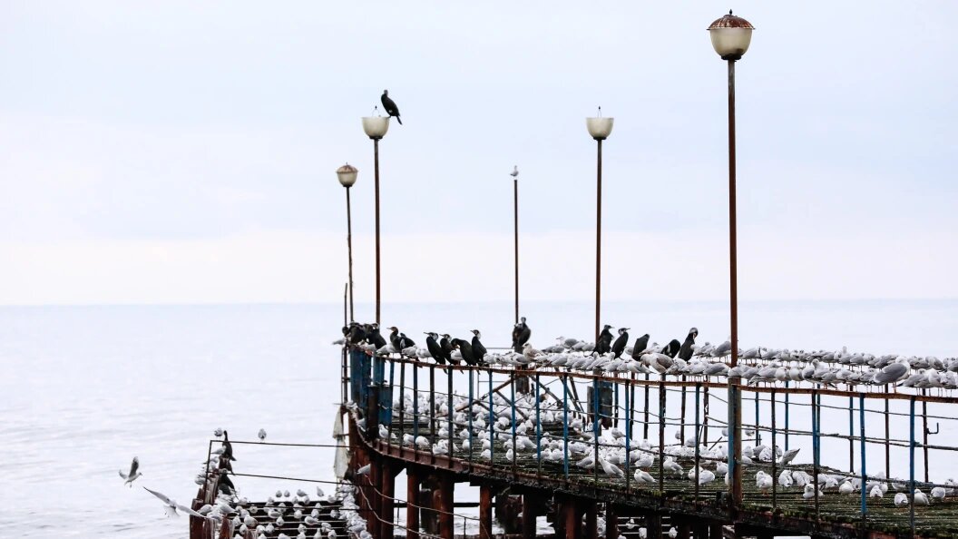    Roman Naumov/URA.RU/Globallookpress