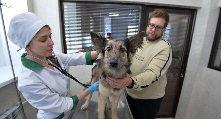    РИА «Новости»