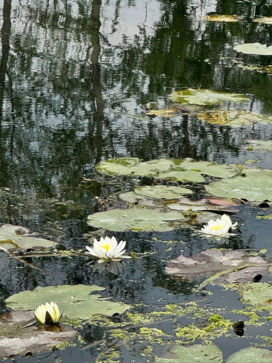     Источник: Telegram-канал администрации муниципалитета