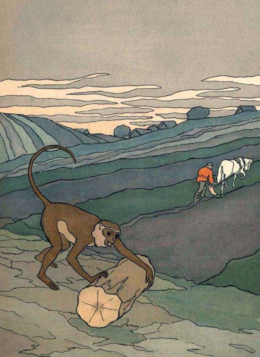 Фото из открытых источников интернета 