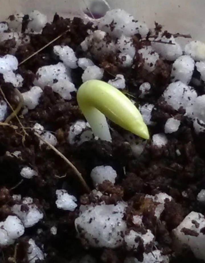 Здравствуй, мир!