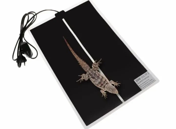 Фото из интернета