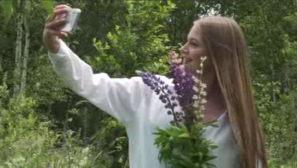    Курские поля окрасились в фиолетовый оттенок – цветут люпины