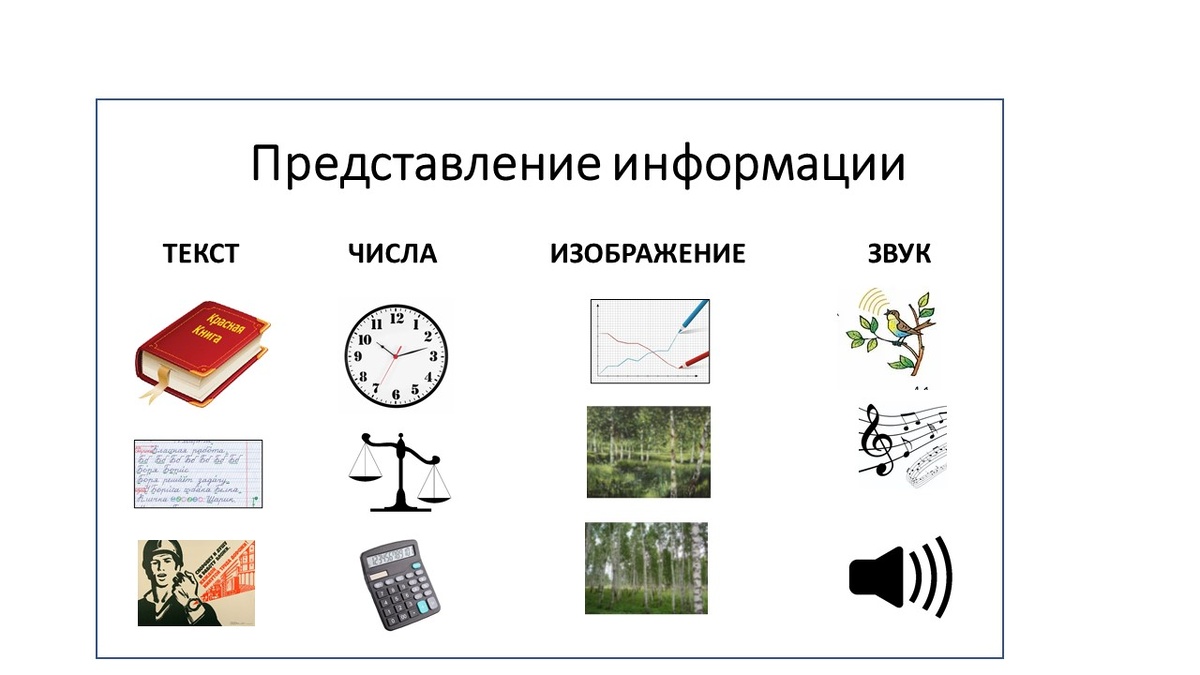 Формы представления информации