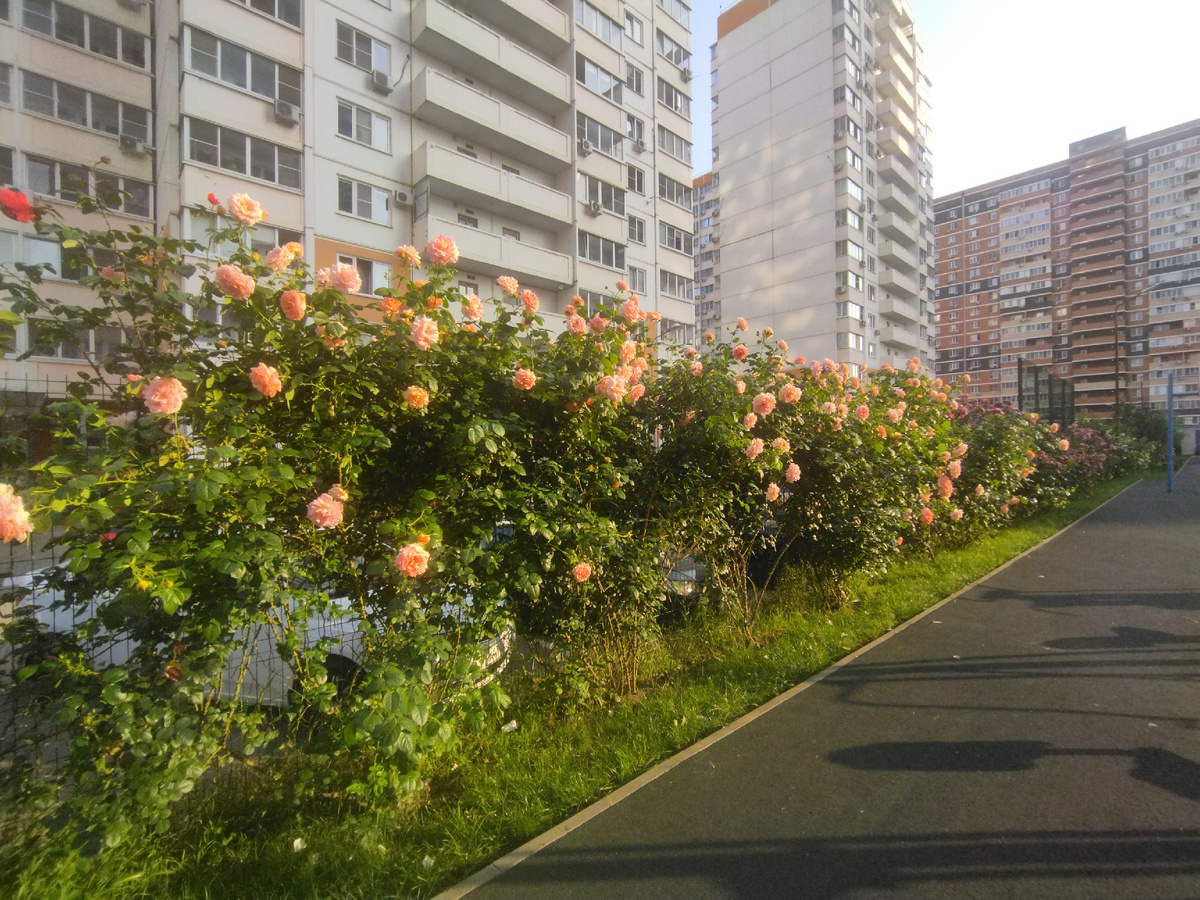 Фото автора. 