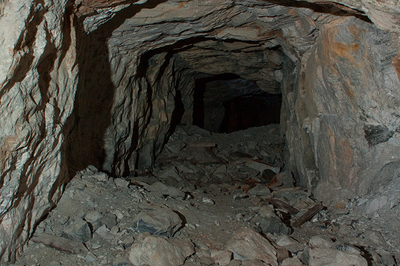    Shutterstock/FOTODOM