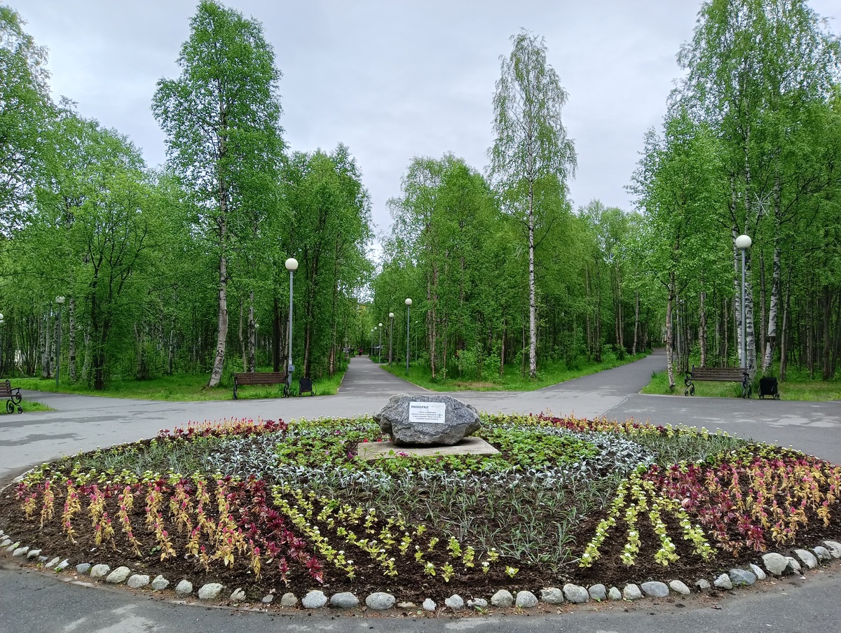 В местном парке