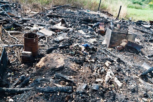 Фото из открытых источников