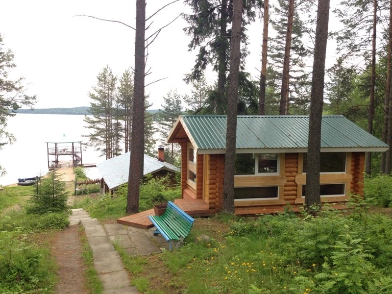 Лесной двор