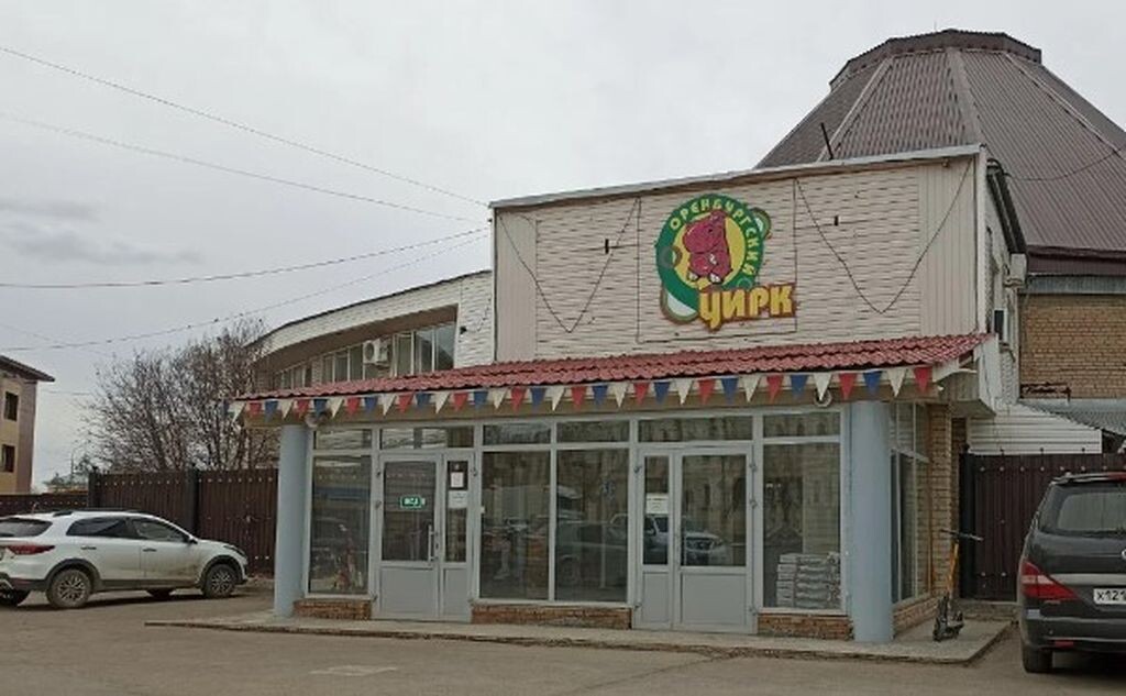    В Оренбурге может появиться детский цирк с собственным зданием