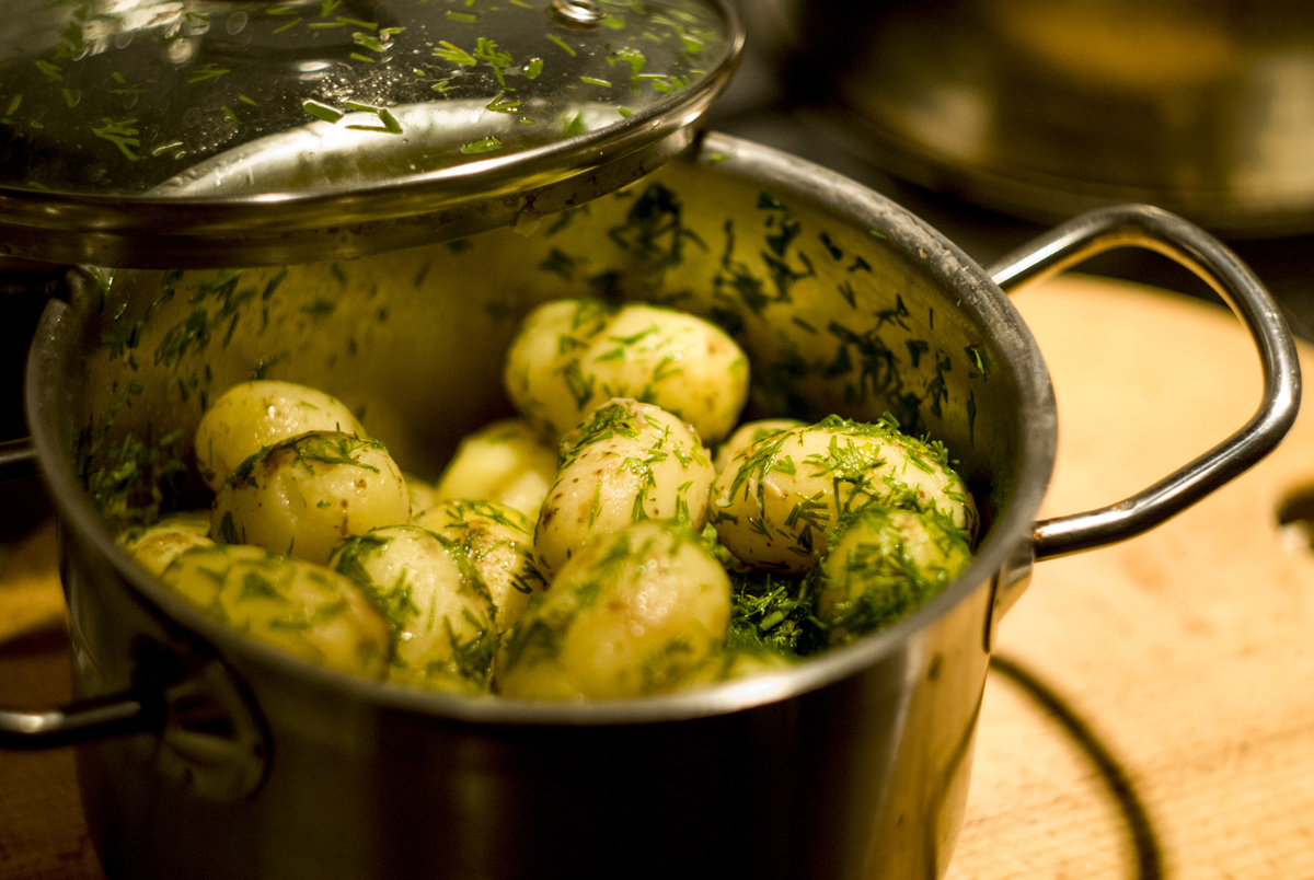 Свободный интернет